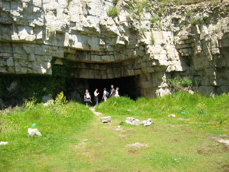 Cave of wonder